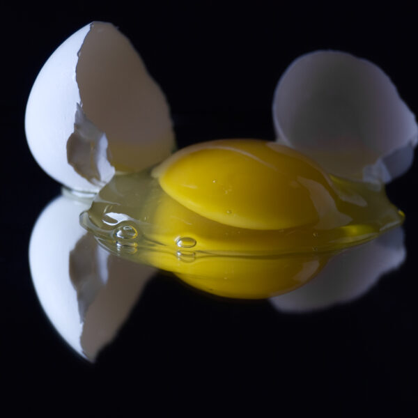 Egg reflection.